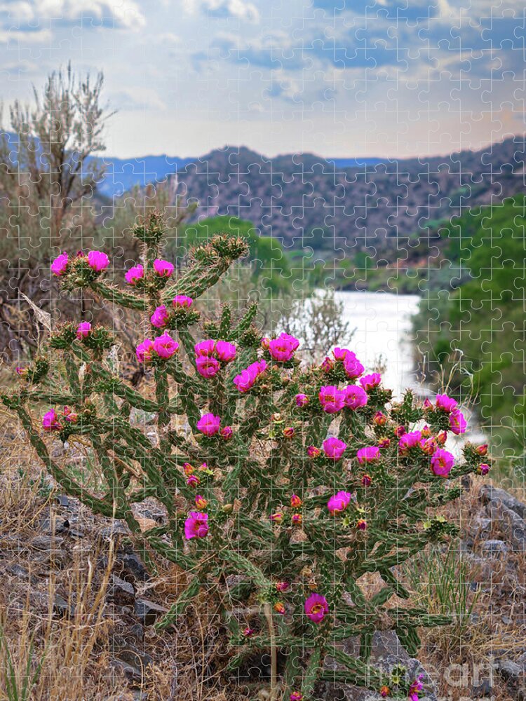 Taos Jigsaw Puzzle featuring the photograph Pilar Cactus 1 by Elijah Rael