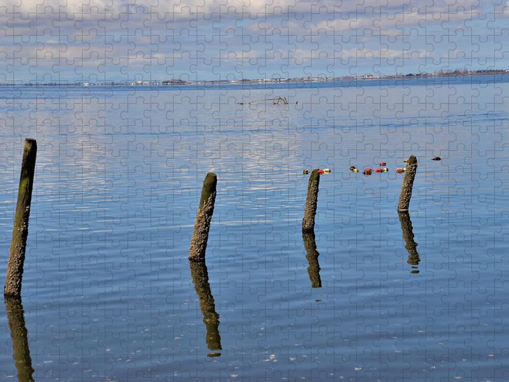 Pilings Jigsaw Puzzle featuring the photograph Pilings in the Ocean by James Cousineau