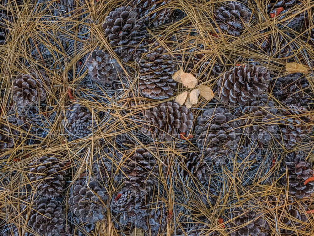 Nature Jigsaw Puzzle featuring the photograph Pine Cones, Needles and Oak Leaves by Alexander Kunz
