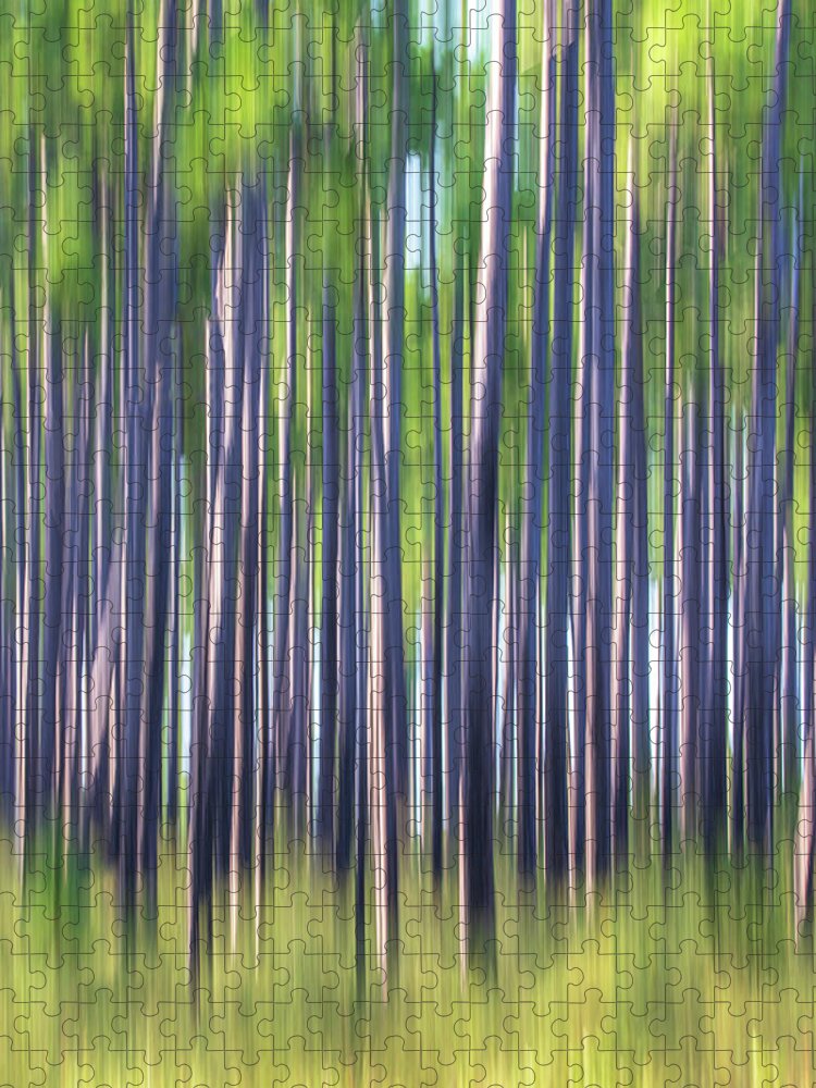 Abstract Jigsaw Puzzle featuring the photograph Pine Savana Abstract - Croatan National Forest by Bob Decker