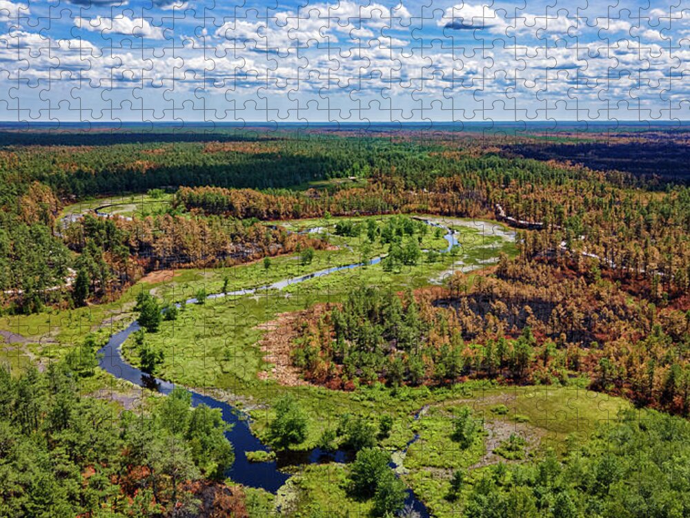 New Jersey Jigsaw Puzzle featuring the photograph Pinelands Burned Forest by Louis Dallara