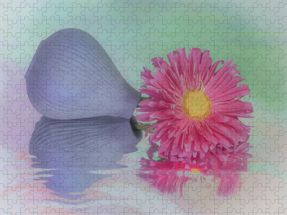 Pink Aster Jigsaw Puzzle featuring the photograph Pink Asters Beauty by Sylvia Goldkranz
