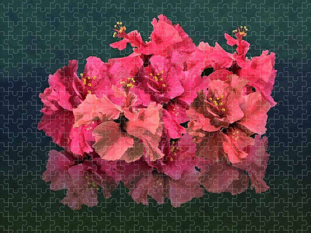 Tropical Flowers Jigsaw Puzzle featuring the drawing Pink Hibiscus Flowering Blooms Posy by Joan Stratton
