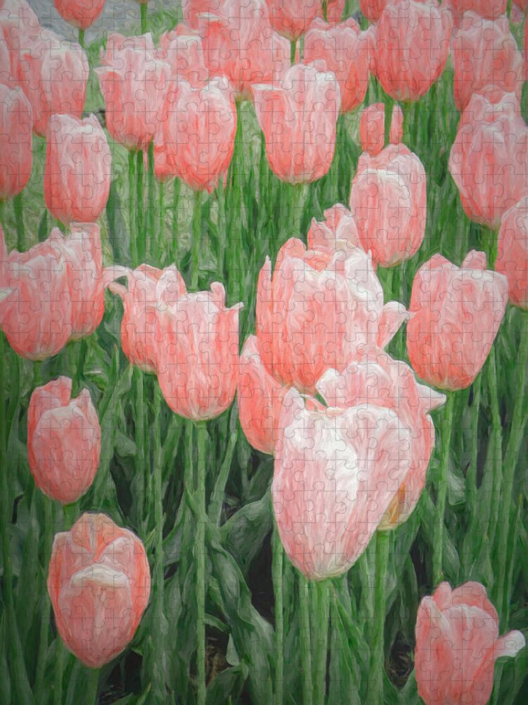 Tulips Jigsaw Puzzle featuring the mixed media Pink Painted Tulips by Rosalie Scanlon