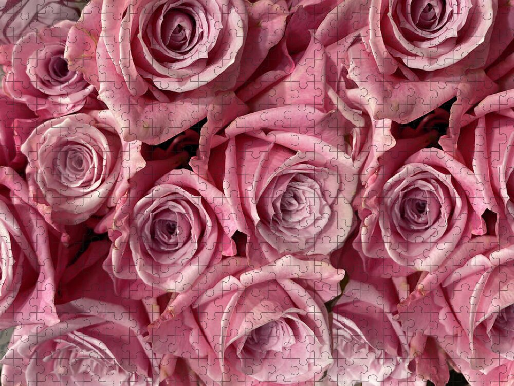 Pink Roses Jigsaw Puzzle featuring the photograph Pink Roses by Karen Zuk Rosenblatt