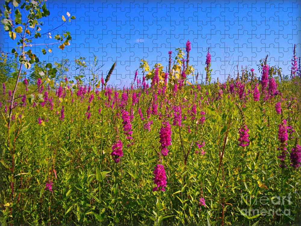 Fox Gloves Jigsaw Puzzle featuring the photograph Pink Summer Flowers In The Prairie - Fox Gloves by Frank J Casella