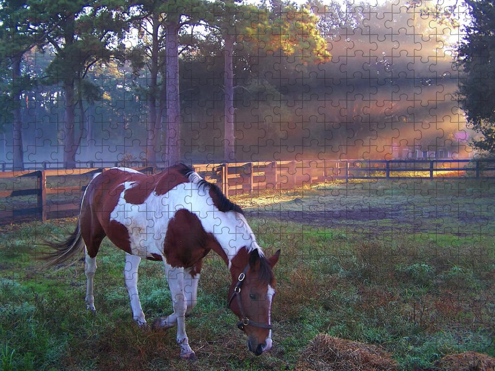 Horse Jigsaw Puzzle featuring the photograph Pinto in a Paddock at Daybreak by Jerry Griffin