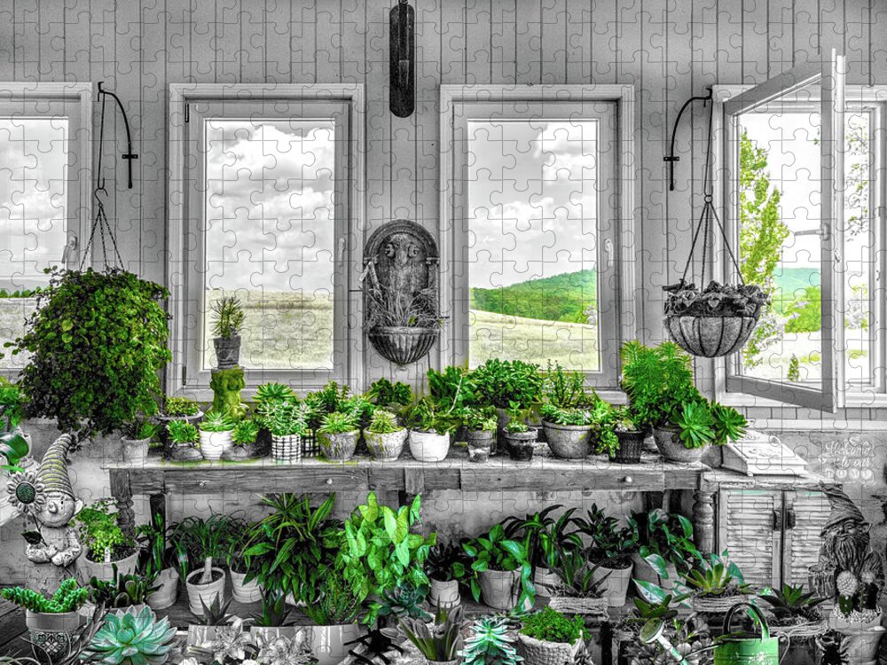 Barns Jigsaw Puzzle featuring the photograph Plants in the Vineyard Greenhouse Window Black and White and Gre by Debra and Dave Vanderlaan