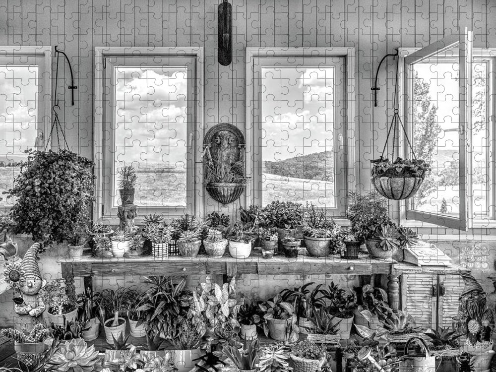 Barns Jigsaw Puzzle featuring the photograph Plants in the Vineyard Greenhouse Window Black and White by Debra and Dave Vanderlaan