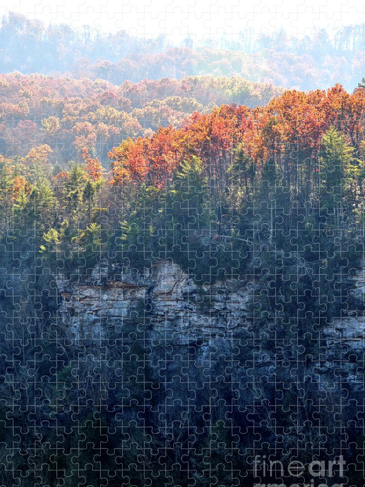 Nature Jigsaw Puzzle featuring the photograph Point Trail At Obed 5 by Phil Perkins