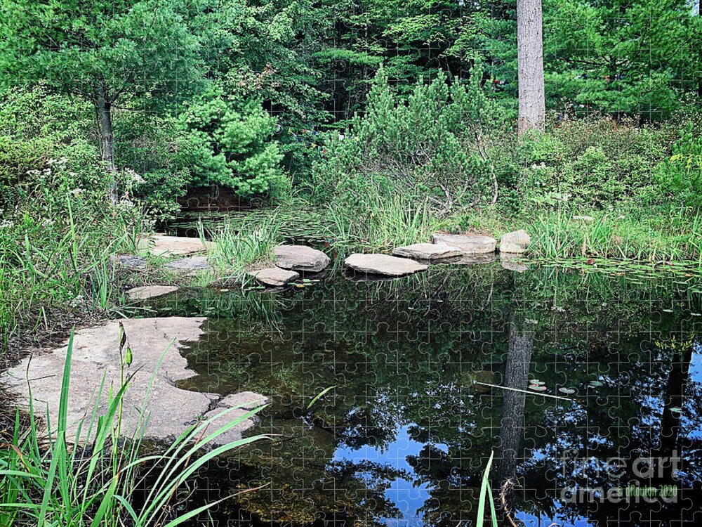 Peace Jigsaw Puzzle featuring the digital art Pond Edge with Reflection by Dee Flouton