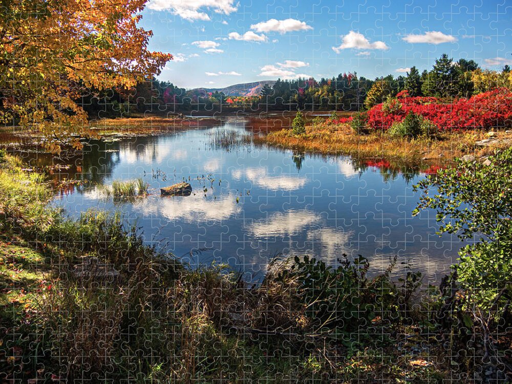 Acadia National Park Jigsaw Puzzle featuring the photograph Pond on Carriage Road by Paul Mangold