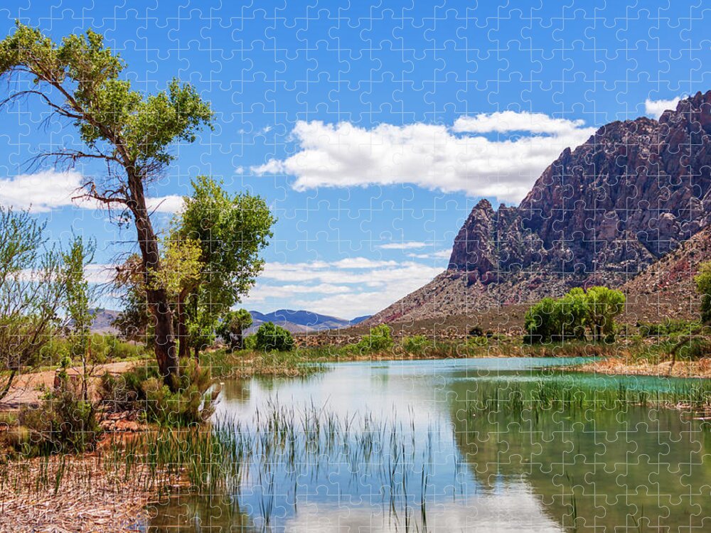Pond Reflections Jigsaw Puzzle featuring the photograph Pond reflections in Mohave Desert, Nevada by Tatiana Travelways