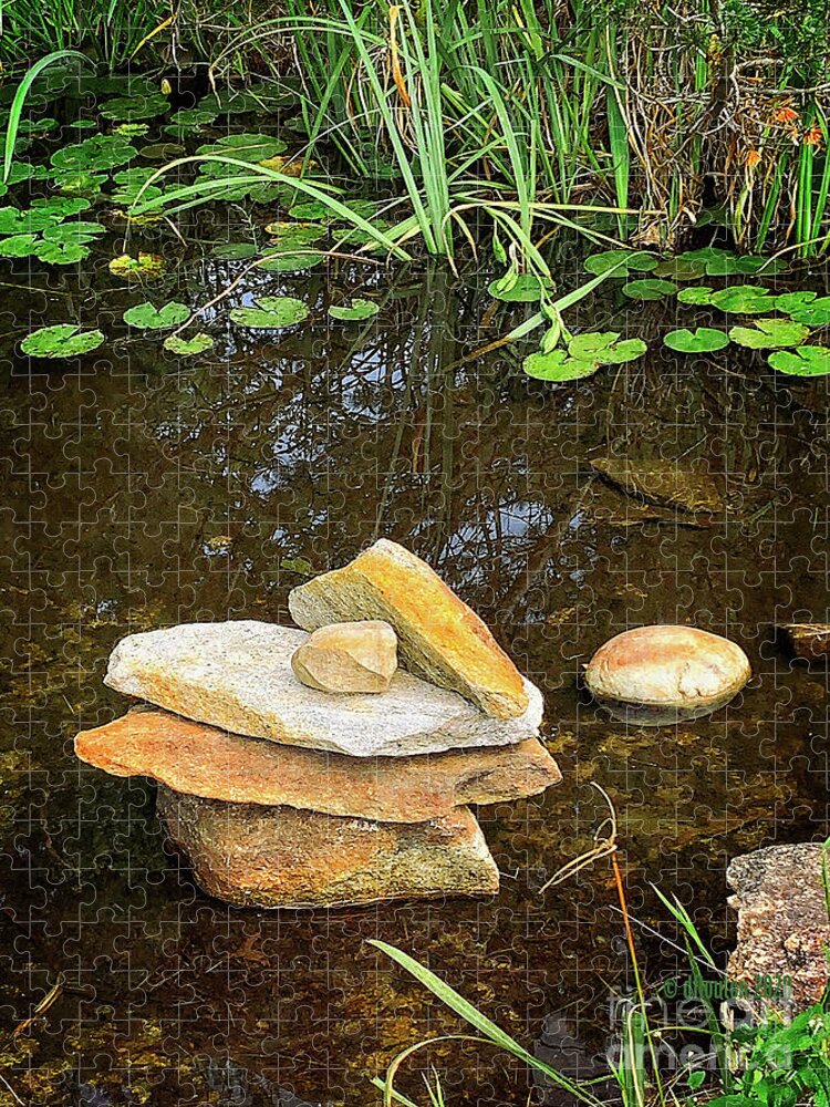 Peace Jigsaw Puzzle featuring the digital art Pond Stones by Dee Flouton