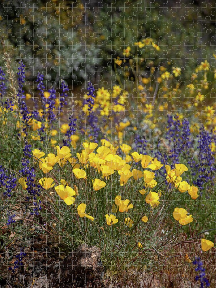 Blooming Jigsaw Puzzle featuring the photograph Poppies and Lupine in the Arizona Desert 5 by Teresa Wilson