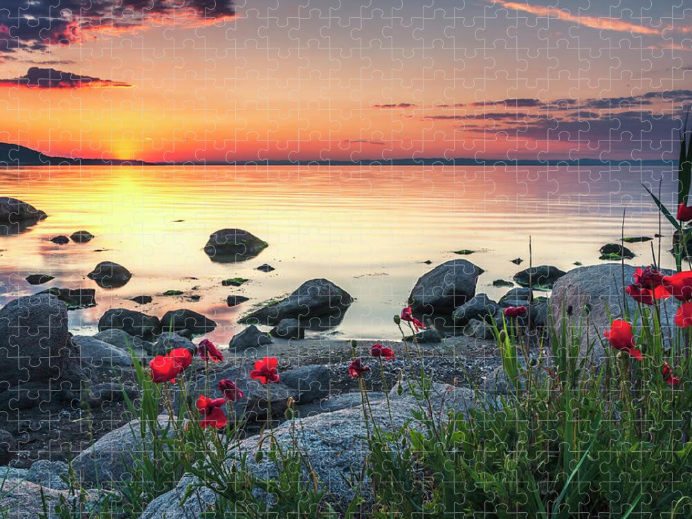 Sea Jigsaw Puzzle featuring the photograph Poppies By the Sea by Evgeni Dinev
