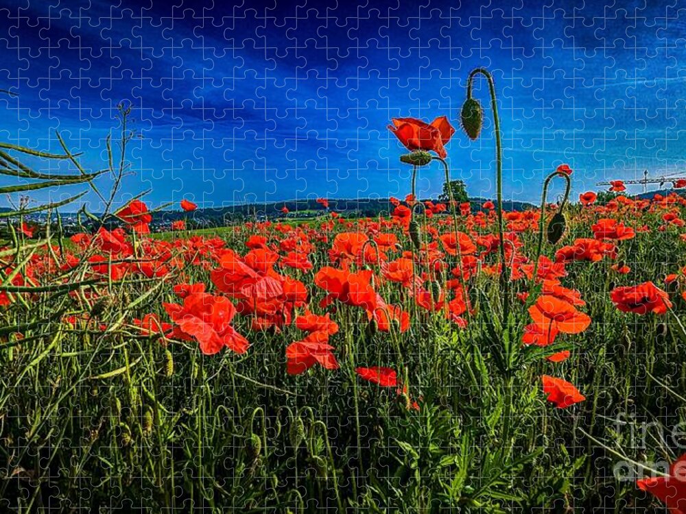Poppy Jigsaw Puzzle featuring the photograph Poppy Field by Claudia Zahnd-Prezioso