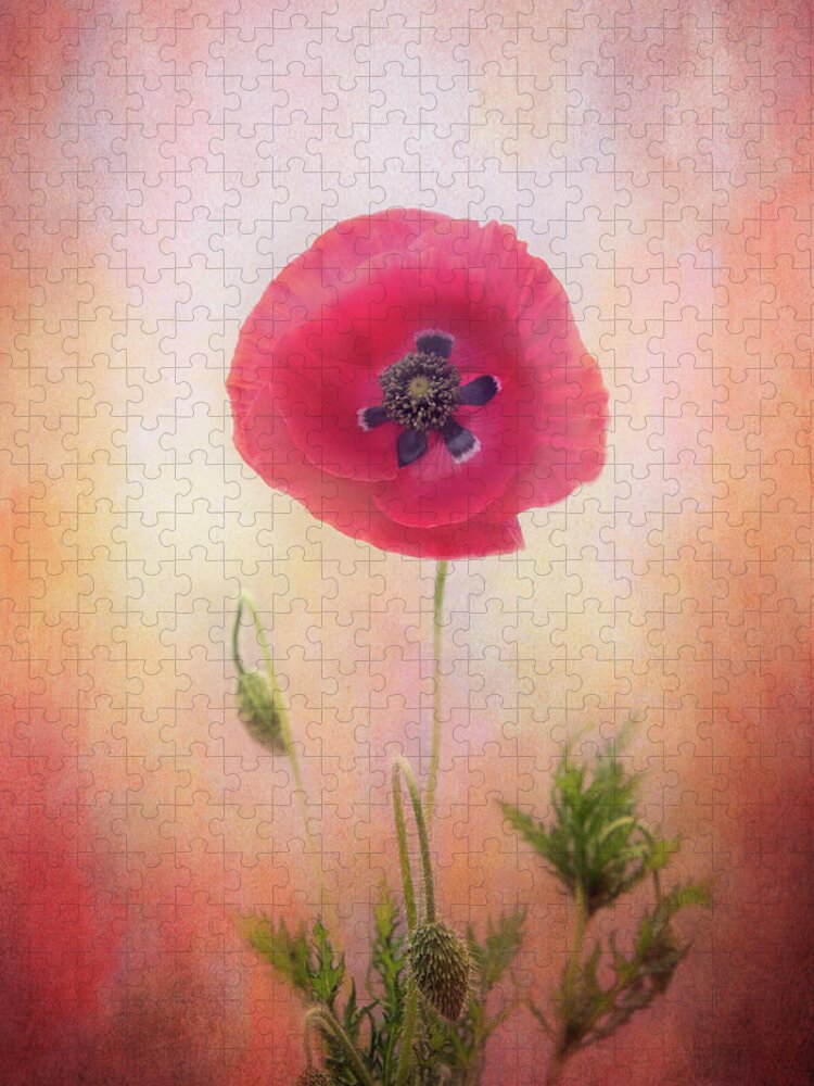 Photography Jigsaw Puzzle featuring the digital art Poppy Magic by Terry Davis