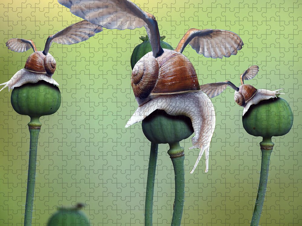 Poppy Jigsaw Puzzle featuring the digital art Poppy Snail by Piotr Dulski