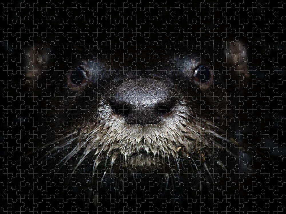 Otter Jigsaw Puzzle featuring the photograph Portrait of a River Otter by Mark Andrew Thomas