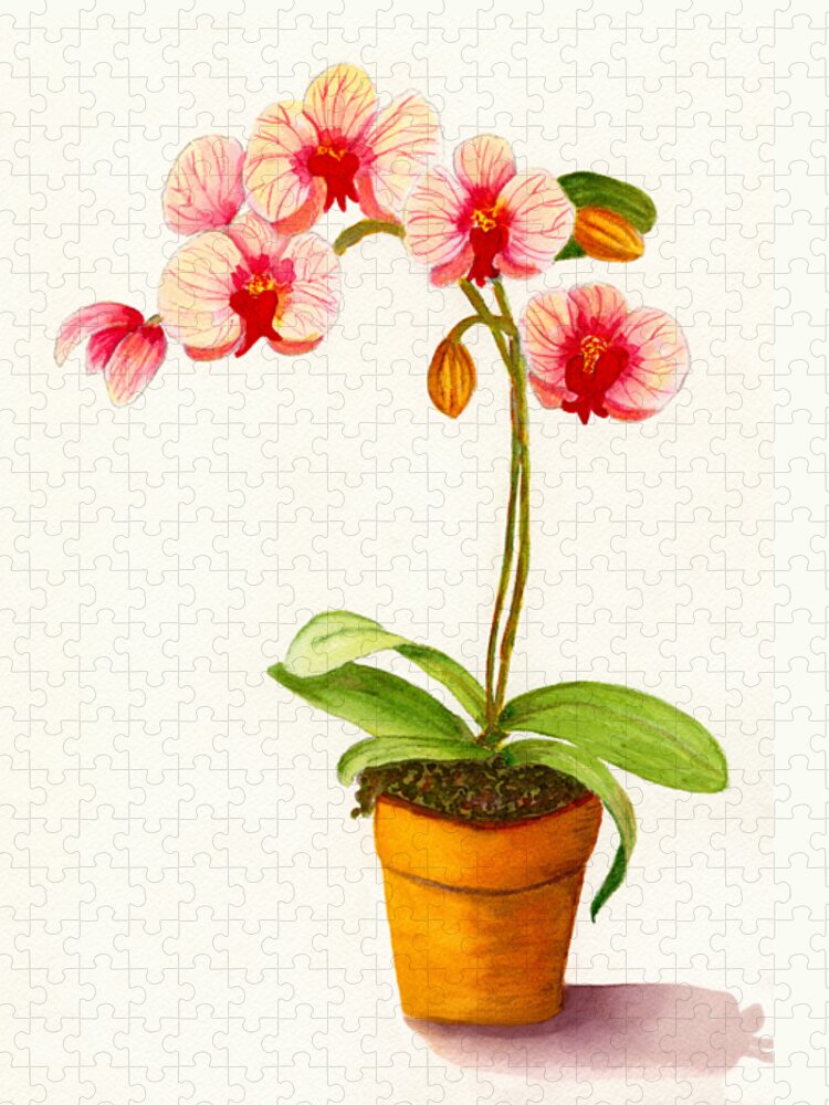 Flower Jigsaw Puzzle featuring the painting Potted Red And White Phalaenopsis Orchid by Deborah League