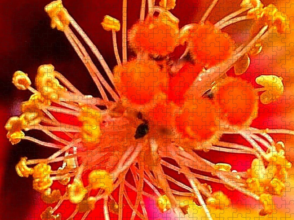 Stamens Jigsaw Puzzle featuring the photograph Precious Stamens by VIVA Anderson