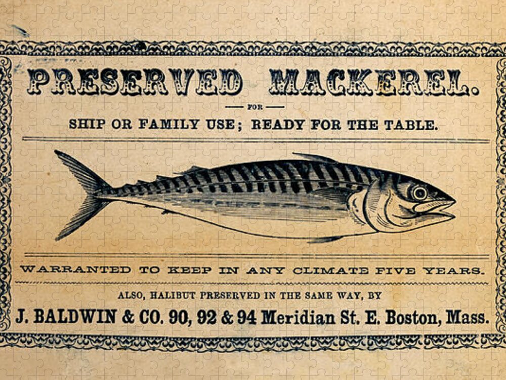 Preserved Mackeral Jigsaw Puzzle featuring the mixed media Preserved Mackerel by Richard Reeve