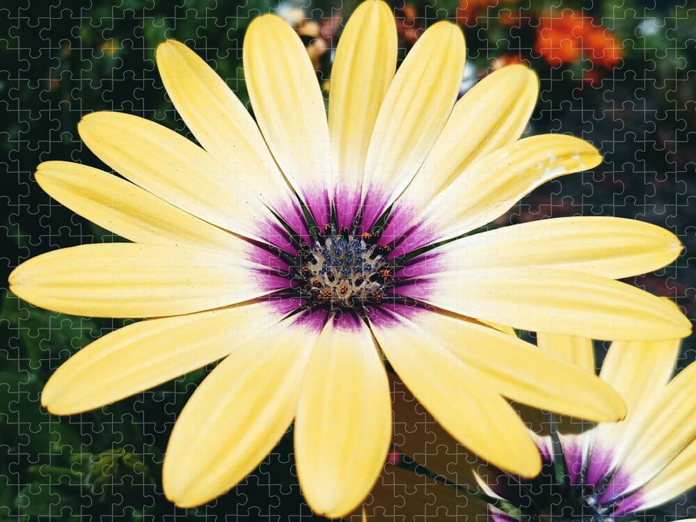 Flower Jigsaw Puzzle featuring the photograph Pretty Eyed Flower by Dani McEvoy