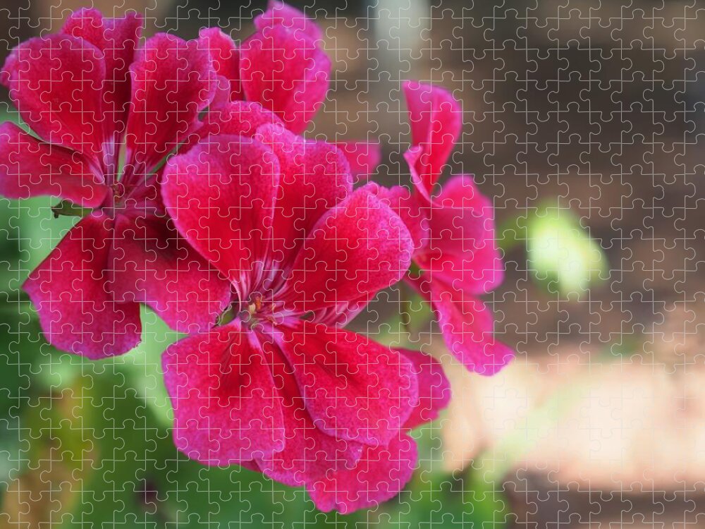Red Jigsaw Puzzle featuring the photograph Pretty Flower 5 by C Winslow Shafer