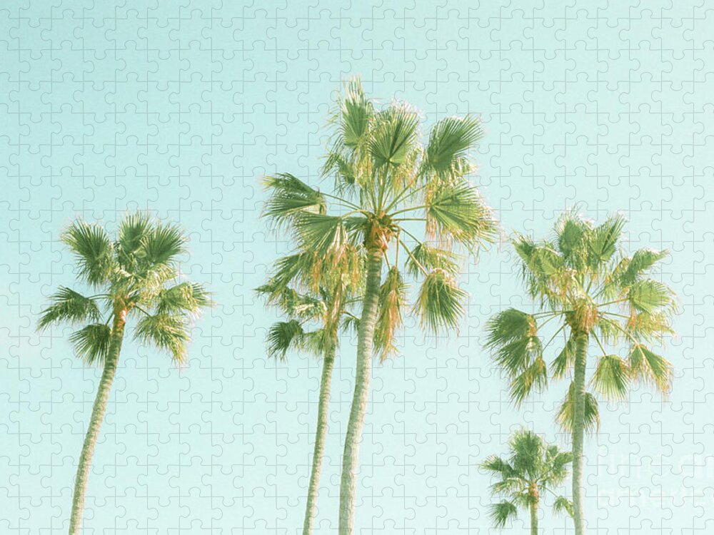 Summer Jigsaw Puzzle featuring the photograph Pretty Palms by Ana V Ramirez
