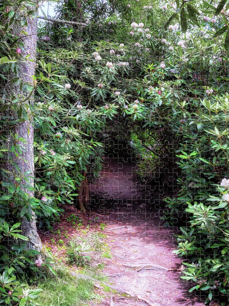 Rhododendron Jigsaw Puzzle featuring the photograph Price Lake Rhododendron Tunnel - Blue Ridge Parkway by Susan Rissi Tregoning