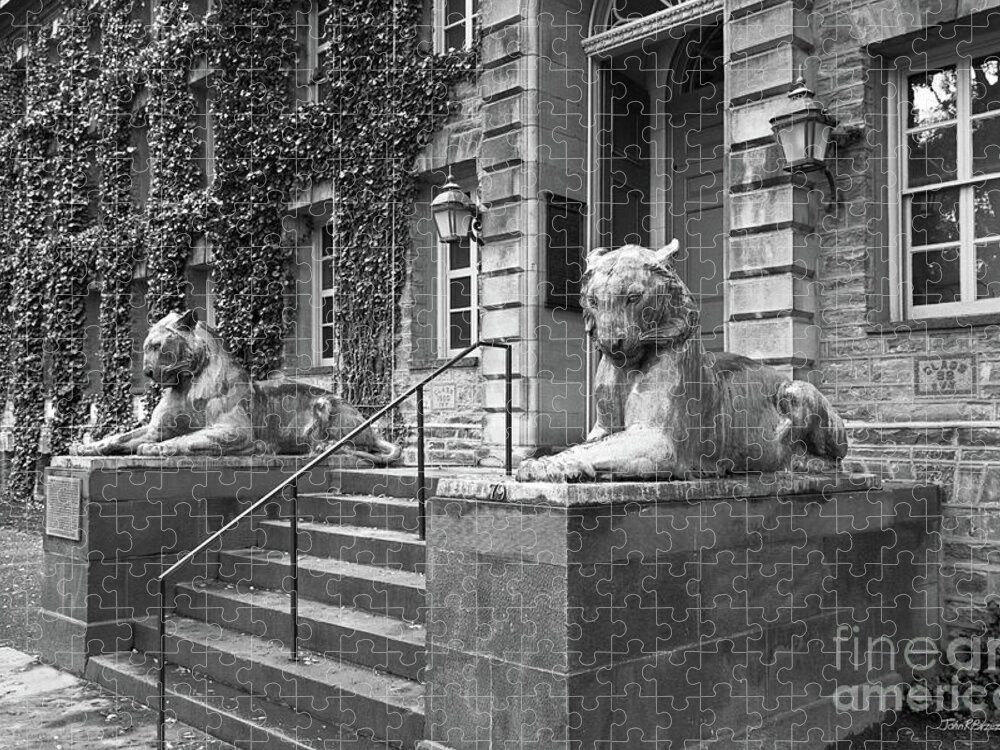 Princeton University Jigsaw Puzzle featuring the photograph Princeton University Nassau Hall Tigers by University Icons