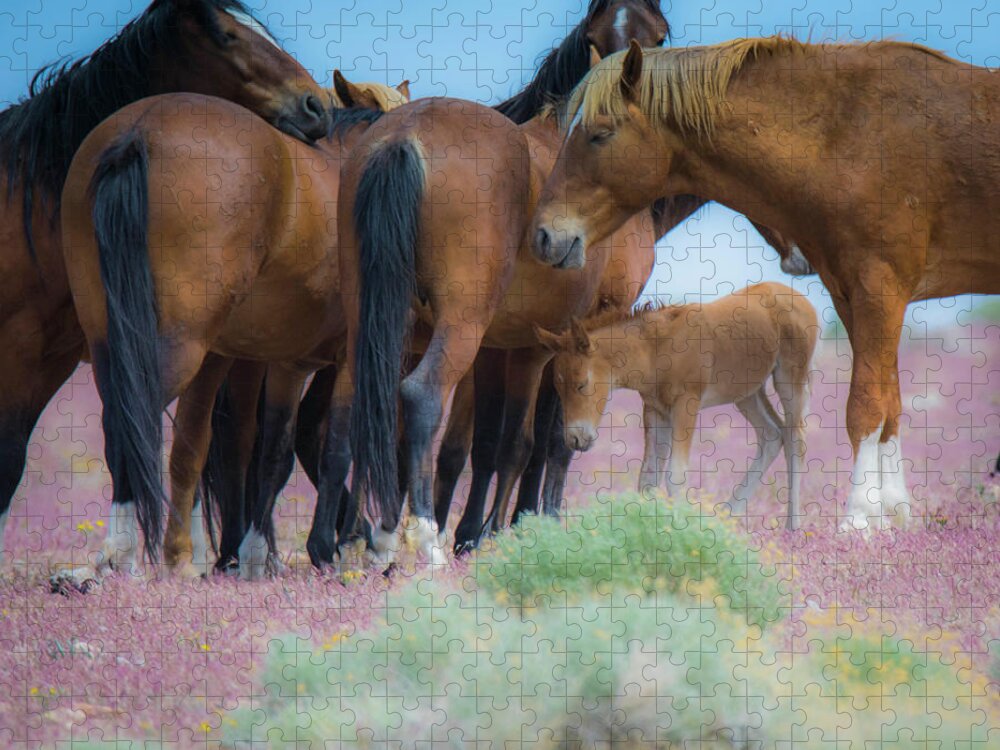 Foal Jigsaw Puzzle featuring the photograph Protect the Baby by Steph Gabler