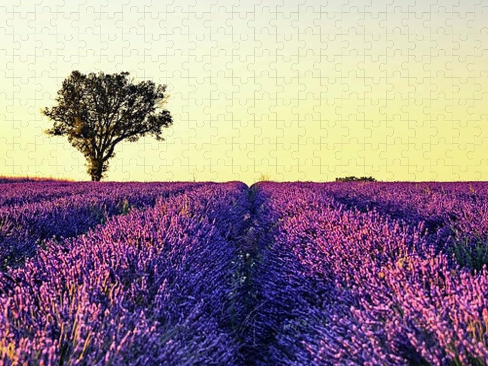 Provence Jigsaw Puzzle featuring the photograph Provence Sunset by Manjik Pictures