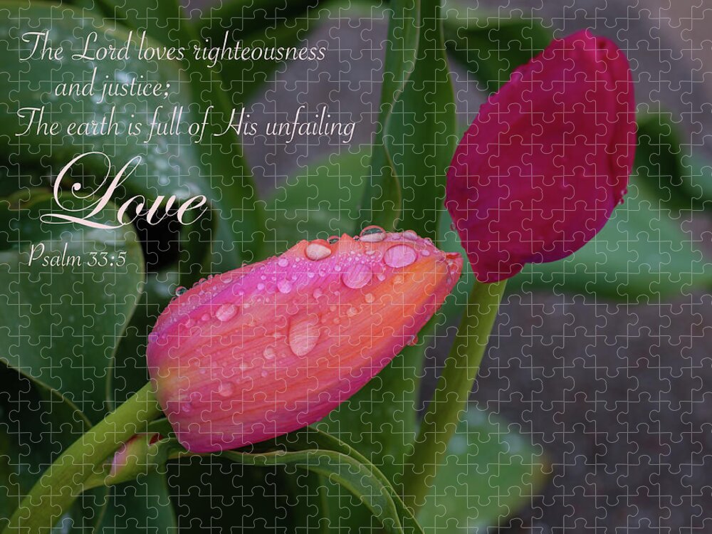 Psalms Jigsaw Puzzle featuring the photograph Psalms - Tulips after the rain by Jack Clutter