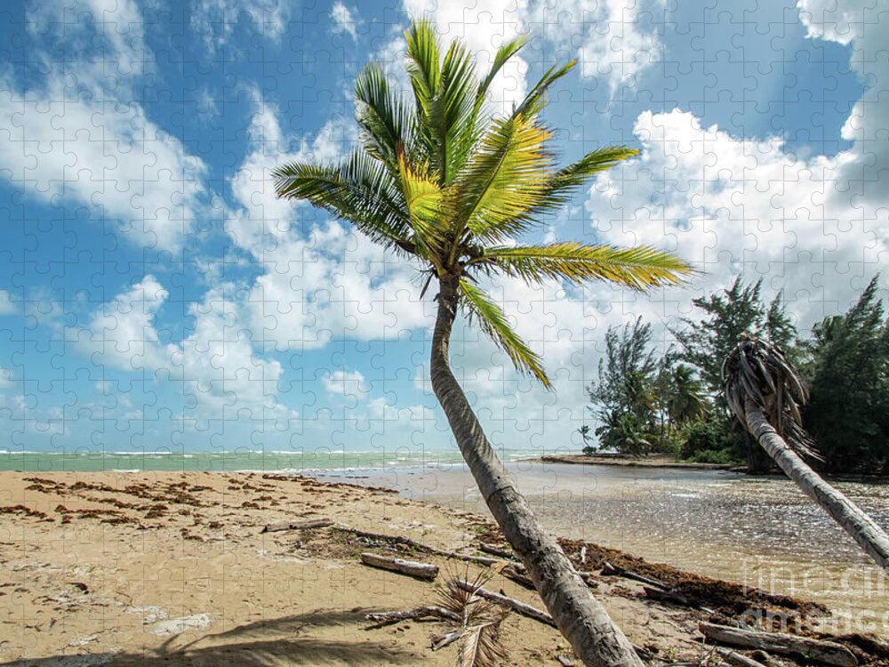 Puerto Jigsaw Puzzle featuring the photograph Puerto Rican Paradise, Loiza, Puerto Rico by Beachtown Views