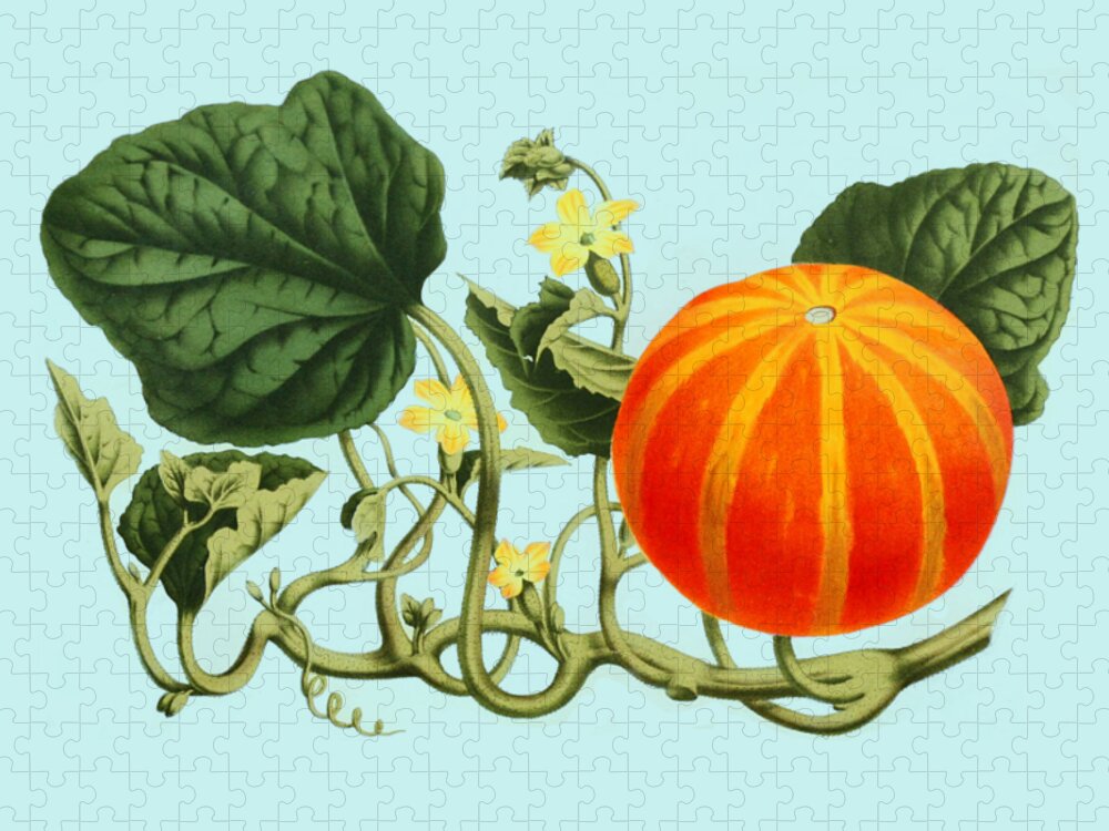 Pumpkin Jigsaw Puzzle featuring the digital art Pumpkin Plant by Madame Memento