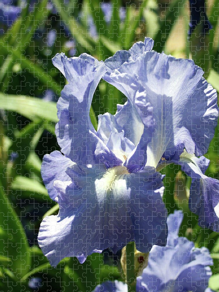 Purple Bearded Iris Jigsaw Puzzle featuring the photograph Purple Bearded Iris by Ellen Henneke