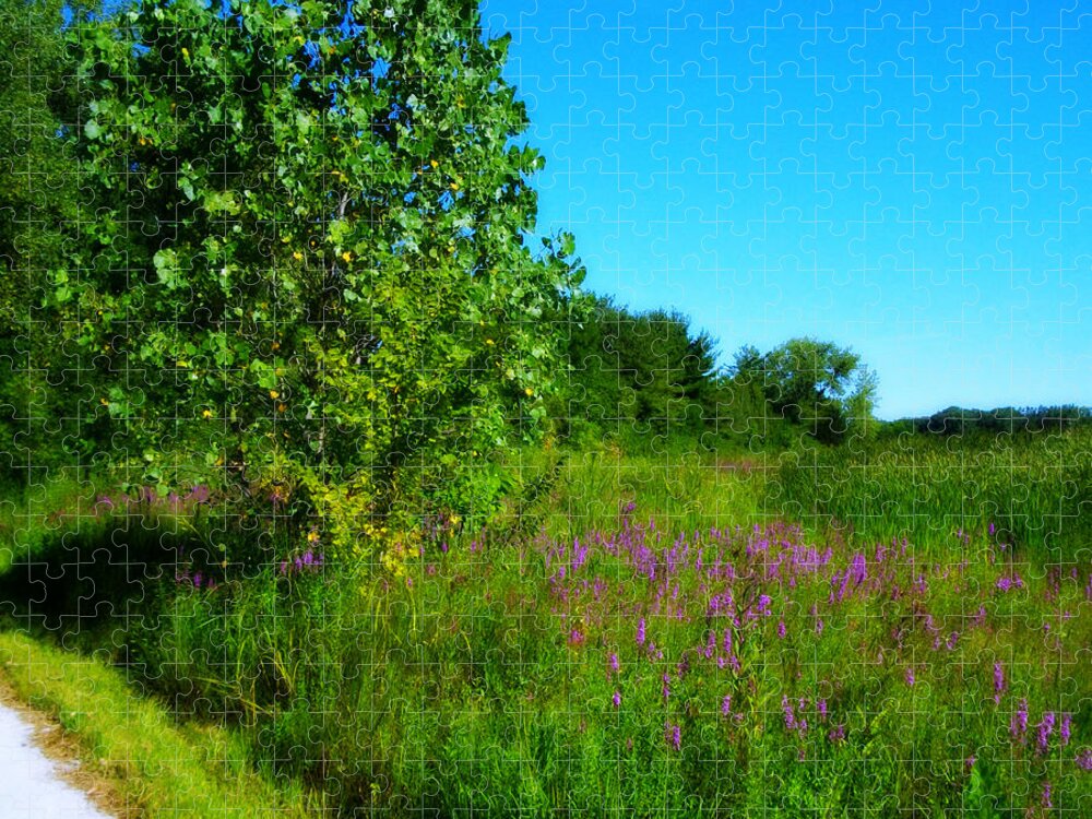 Ladscape Jigsaw Puzzle featuring the photograph Purple Flowers by the Trail - Square by Frank J Casella