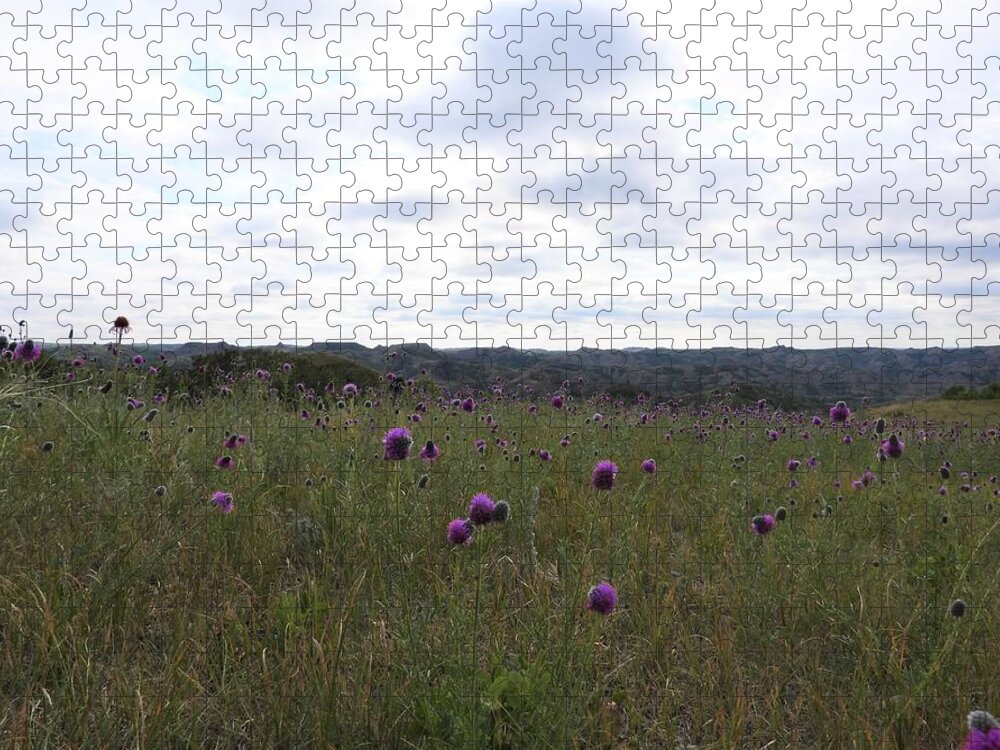 Wild Flowers Jigsaw Puzzle featuring the photograph Purple Flowers With A View by Amanda R Wright