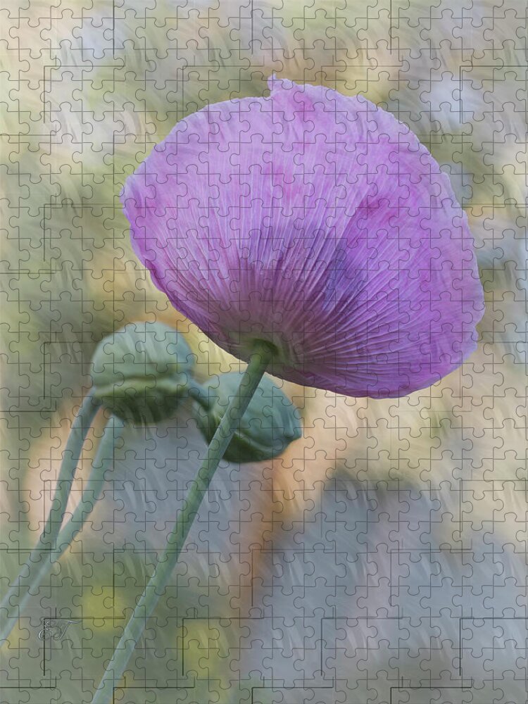 Flowers Jigsaw Puzzle featuring the photograph Purple Poppy by Elaine Teague