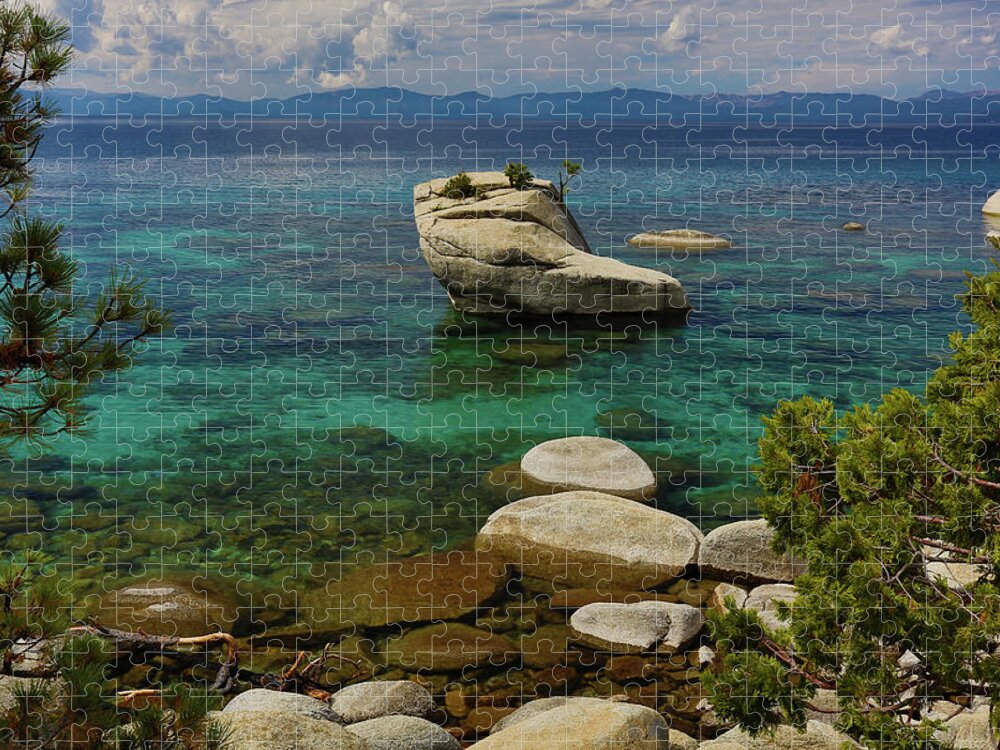  Jigsaw Puzzle featuring the photograph Bonsai Rock by John T Humphrey