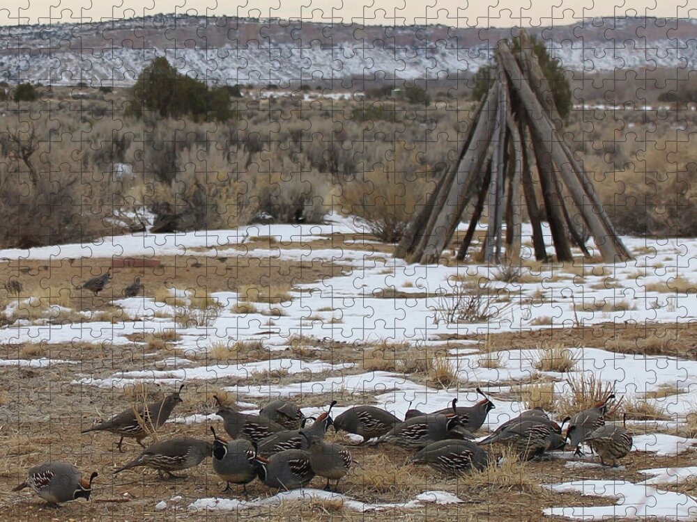 Wildlife Jigsaw Puzzle featuring the photograph Quail at Thunder Visions Ranch by Doug Miller