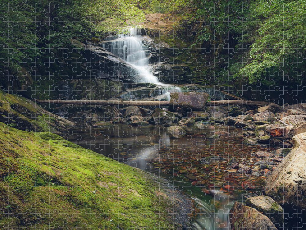 Waterfall Jigsaw Puzzle featuring the photograph Quiet Falls 2 by Michael Rauwolf