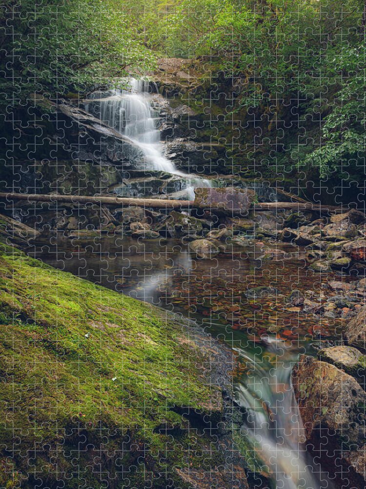 Waterfall Jigsaw Puzzle featuring the photograph Quiet Falls by Michael Rauwolf