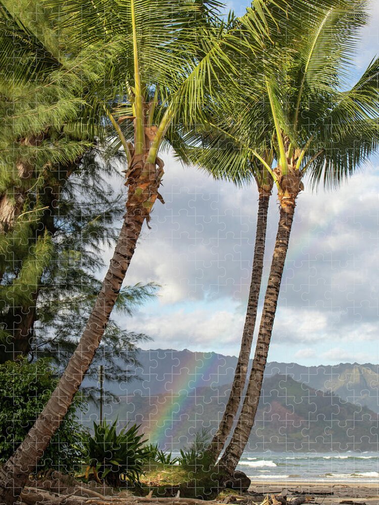 Hawaii Jigsaw Puzzle featuring the photograph Rainbow Split by Tony Spencer