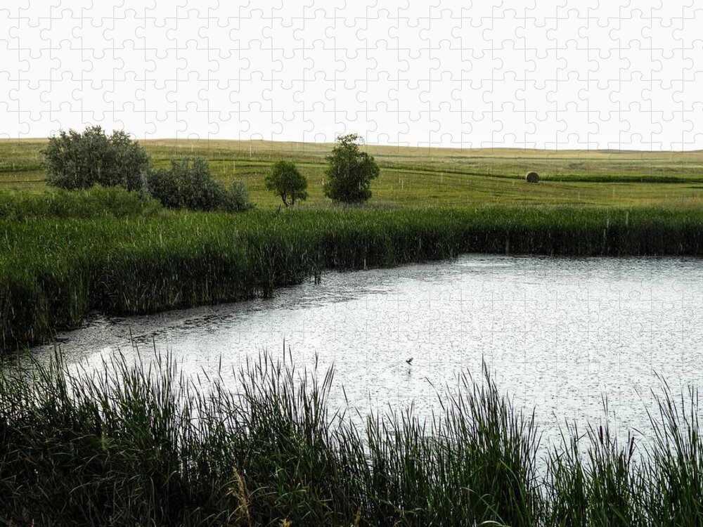 Pond Jigsaw Puzzle featuring the photograph Rainy Pond by Amanda R Wright