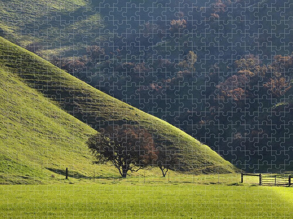San Miguel Jigsaw Puzzle featuring the photograph Ranch land east of San Miguel by Lars Mikkelsen