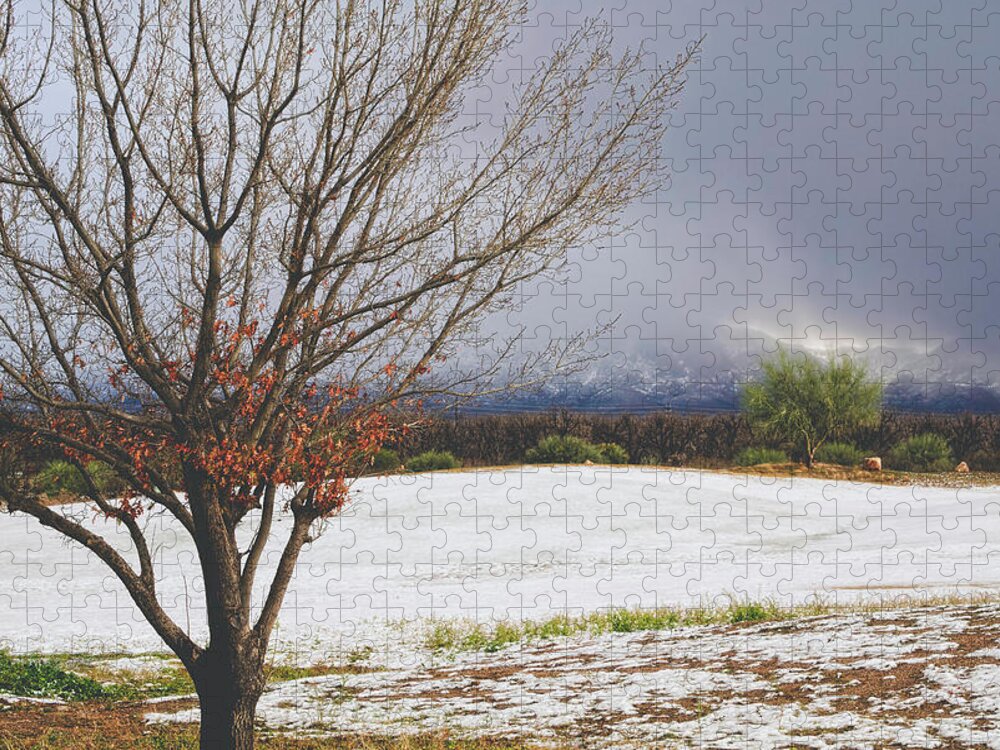 Arizona Jigsaw Puzzle featuring the photograph Rare Winter Snow In Southern Arizona by Lucinda Walter