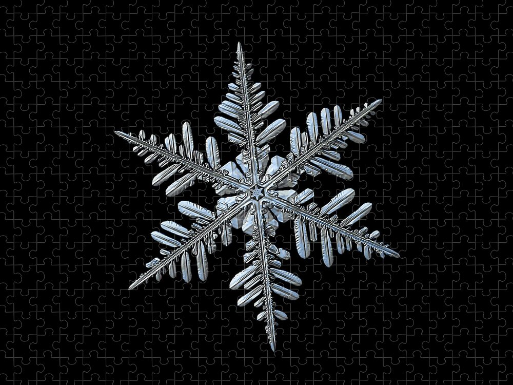 Snowflake Jigsaw Puzzle featuring the photograph Real snowflake 2016-01-09_2b by Alexey Kljatov